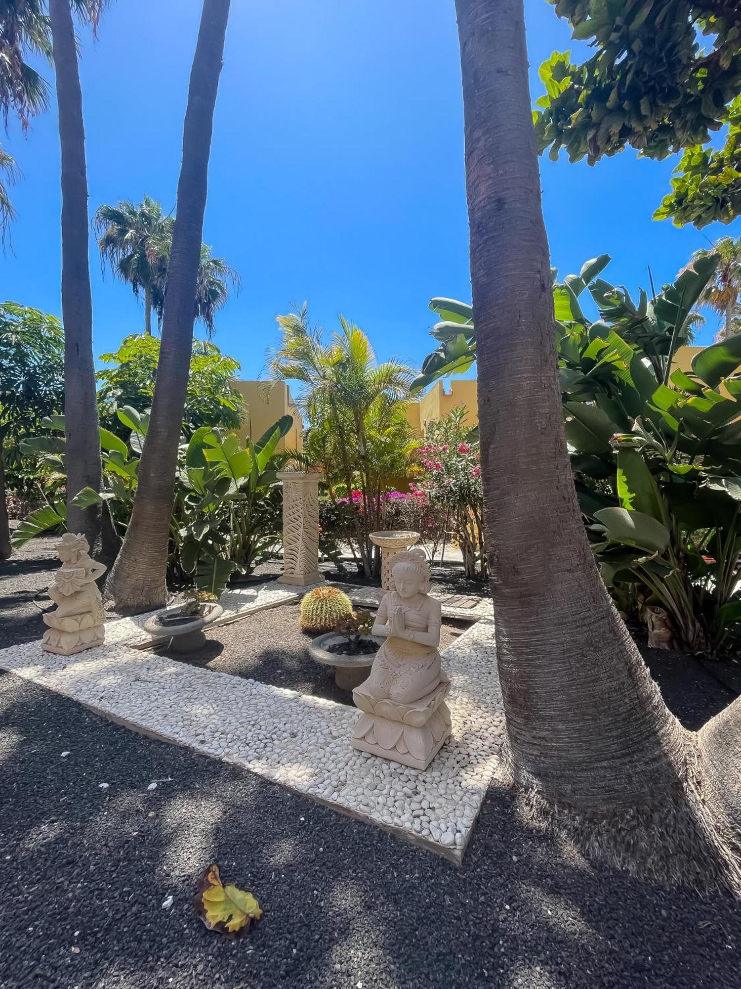 B-Rent Atlantic Garden 181 Apartment Corralejo Exterior foto